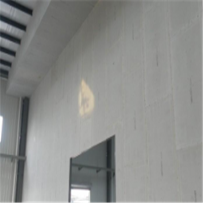 眉山宁波ALC板|EPS加气板隔墙与混凝土整浇联接的实验研讨